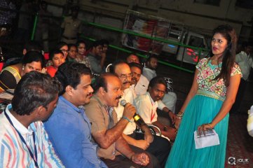 Sarrainodu Movie Blockbuster Function